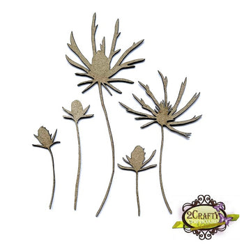 Wild Thistle Stems