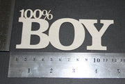 100% Boy Title