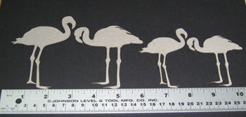 Flamingos