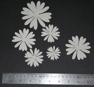Daisy Flowers