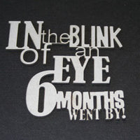 In the Blink of an Eye, 6 months went by!