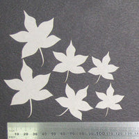 Maple Leaves