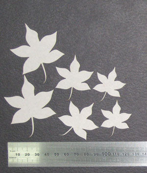 Maple Leaves