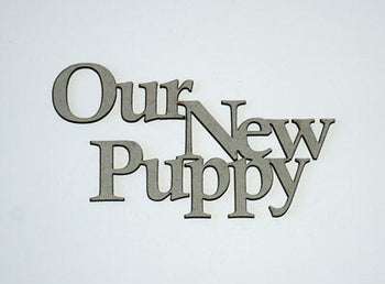 Our New Puppy