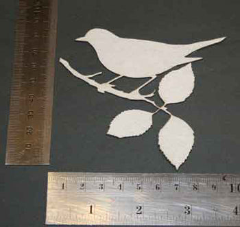 Sparrow Branch